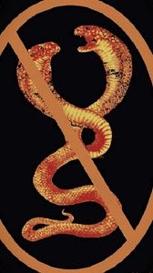 Blacklight Poster 18 X 22.5 in